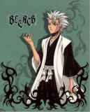 Bleach - Japanese Style Masterprint
