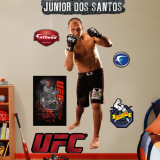 Junior Dos Santos Wall Decal