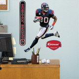 Andre Johnson Fathead Junior Wall Decal