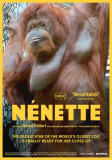 Nenette Masterprint