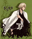Bleach - Japanese Style Masterprint