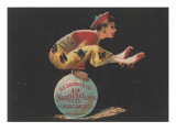 Advertisement for D. S. Brown and Co. Soap Makers and Perfumers, New York, C.1880 Giclee Print by American School 