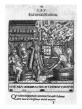 Stultorum Medicus from 'Proscenium Vitae Humanae Sive Emblematum Secularium' Giclee Print by Theodor de Bry