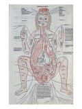 The Anatomy of the Pregnant Woman, Illustration from 'Fasciculus Medicinae' by Johannes De Ketham Giclee Print by Italian School 