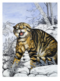 Hunter of the Highlands, from 'Nature's Kingdom' Giclee Print by Susan Cartwright