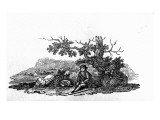 Man Seated by a Stunted Tree from 'History of British Birds and Quadrupeds' Giclee Print by Thomas Bewick