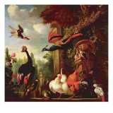 A Peacock, Peahen and Other Exotic Birds and Poultry on a Terrace Reproduction procédé giclée par Melchior de Hondecoeter
