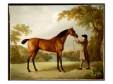 Tristram Shandy, a Bay Racehorse Held by a Groom in an Extensive Landscape, C.1760 Giclee Print by George Stubbs