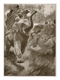 The Frightened Elephants Rushed Back Crashing Through the Forest Giclee Print by Stanley L. Wood