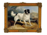 Neptune, the Property of William Ellis Gosling, Esq., 1824 reproduction procédé giclée par Edwin Henry Landseer