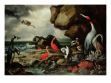 A Penguin, a Pair of Flamingoes, and Other Exotic Birds, Shells, and Coral on the Shoreline Giclee Print by Philip Reinagle