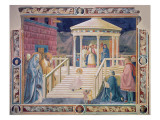 The Presentation of the Blessed Virgin Mary in the Temple, 1433-34 Giclee Print by Paolo Uccello