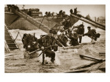The First British Troops Disembark from the Specially Designed Landing Ladders Giclee Print by English Photographer 