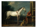 Lord Oxford's "Bloody-Shouldered Arabian" Held by a Groom in Arabian Dress Giclee Print by John Wootton