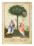 Nouv Acq Lat 1673 Fol.18 Harvesting Lemons, from 'Tacuinum Sanitatis', C.1390-1400 Giclee Print by Italian School 