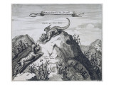 A Mountain in the Jiangxi Province with Crags known as the Dragon and the Tiger Giclee Print by Dutch School 