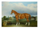 A Chestnut Hunter and a Spaniel by Farm Buildings Giclee Print by John E. Ferneley
