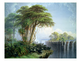 Buffalos Driven to the Edge of the Chasm Opposite Garden Island, Victoria Falls Giclee Print by Thomas Baines