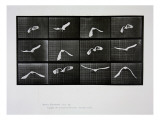 Bird in Flight, Plate 762 from 'Animal Locomotion', 1887 reproduction procédé giclée par Eadweard Muybridge