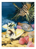 An Underwater World of Wonder, from 'Nature's Kingdom', 1979 Giclee-trykk av Janet Blakeley An Underwater World of Wonder, from 'Nature's Kingdom', 1979 Giclee-trykk av Janet Blakeley