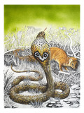 King Cobra Meets His Match, from 'Nature's Kingdom' Giclee Print by Susan Cartwright