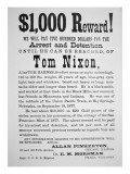 Reward Poster for Tom Nixon Issued by the Pinkerton National Detective Agency, 1877 Giclee Print by American School 