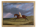 Corduroy', a Bay Racehorse, with a Jockey Up, Galloping on a Racecourse Giclee Print by John Frederick Herring Snr