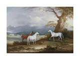 Lord Macdonald's Mares on the Grounds of Thorpe Hall, Rudston, Yorkshire, 1836 Giclee Print by John E. Ferneley