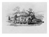 Geese Carried to Market from 'History of British Birds and Quadrupeds' Giclee-trykk av Thomas Bewick Geese Carried to Market from 'History of British Birds and Quadrupeds' Giclee-trykk av Thomas Bewick