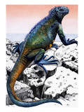 Dragons' of the Enchanted Isles, from 'Nature's Kingdom' Giclee Print by Susan Cartwright