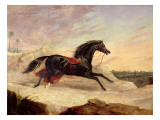 Arabs Chasing a Loose Arab Horse in an Eastern Landscape Giclee Print by John Frederick Herring Snr
