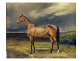 Abdul Medschid' the Chestnut Arab Horse, 1855 Giclee Print by Carl Constantin Steffeck