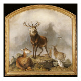 Scene in Braemar - Highland Deer Giclee Print by Edwin Henry Landseer
