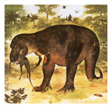 Tyrannosaurus Eating a Struthiomimus Giclee Print by English School 