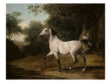 A Grey Arab Stallion in a Wooded Landscape Lámina giclée por Jacques-Laurent Agasse A Grey Arab Stallion in a Wooded Landscape Lámina giclée por Jacques-Laurent Agasse