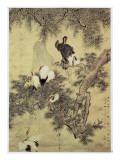 Eight Red-Crested Herons in a Pine Tree, 1754 Giclee Print by Hua Yan