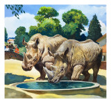 Ben and Friend, from 'Who's Who at the Zoo' Giclee Print by G. W Backhouse
