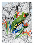 The Flying Frog, from 'Nature's Kingdom' Giclee Print by Susan Cartwright