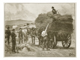The Saving of Captain Boycott's Crops Giclee Print by William Barnes Wollen