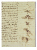 Scientific Diagrams, from the 'Codex Leicester', 1508-12 Giclee Print by Leonardo da Vinci 