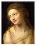 Head and Shoulders of a Young Woman reproduction procédé giclée par Bernardino Luini