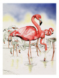 Nature's Kingdom: the Flying Sunset, 1978 Giclee Print by Susan Cartwright