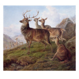 Red Deer in a Highland Landscape, 1872 Giclee Print by Charles Jones