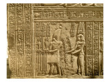 Relief Depicting Ptolemy Viii Euergetes Ii Giclee Print by Egyptian Ptolemaic Period 