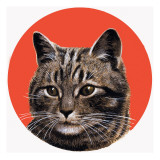 Tabby Cat, from 'Treasure', 1966 Giclee Print by R. B. Davis