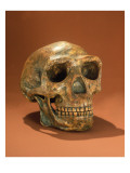 Peking Man's Reconstructed Skull, Cave Choukou'Tien Giclee Print by Chinese School 