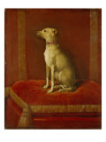 One of Frederick Ii's Italian Greyhounds Giclée-tryk af German School One of Frederick Ii's Italian Greyhounds Giclée-tryk af German School