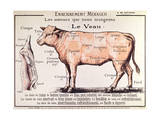 Veal: Diagram Depicting the Different Cuts of Meat Giclee Print by French School 