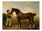 Groom Feeding a Bay Hunter in a Landscape Giclée-Druck von George Stubbs