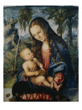 Madonna under the Fir Tree, C.1510 reproduction procédé giclée par Lucas Cranach the Elder